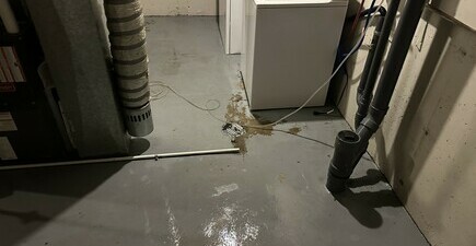 Guide to Handling a Sewage Backup