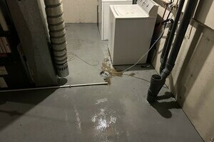 Guide to Handling a Sewage Backup